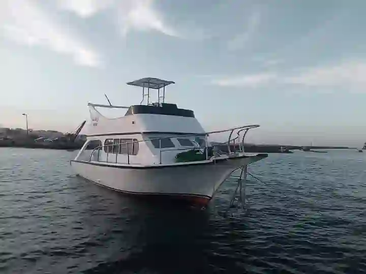 WhatsApp Image 2025-10-08 at 13.30.07_8626409e