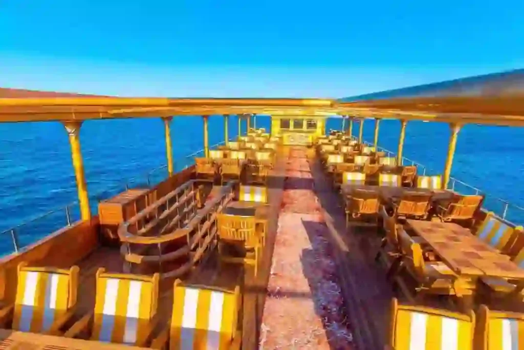 WhatsApp Image 2025-10-08 at 13.35.38_1a427d85