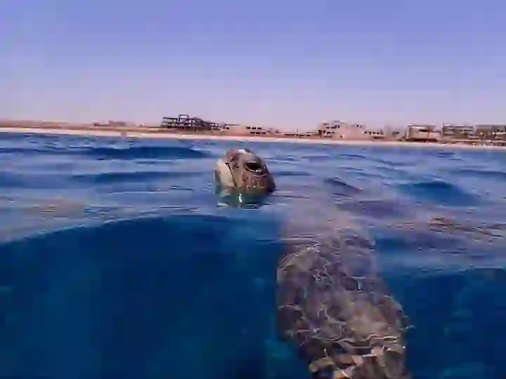 WhatsApp Image 2025-10-08 at 13.35.38_31266abd