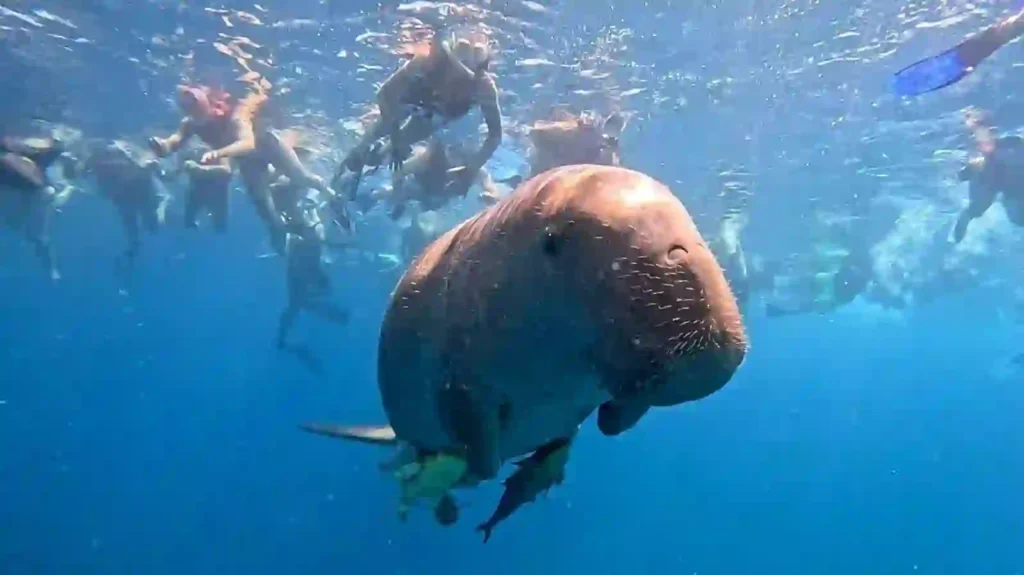 WhatsApp Image 2025-10-08 at 13.35.38_94143605